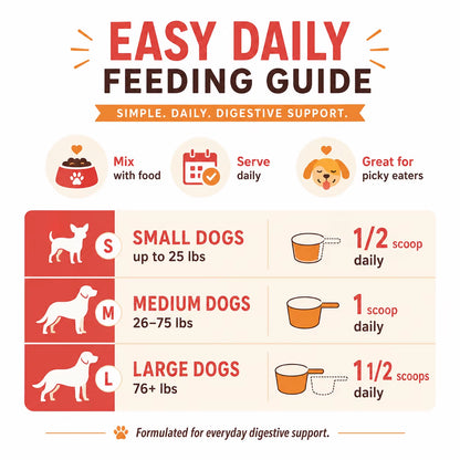 Private Label Dog Bone Broth Powder Grass Fed Beef Flavor Digestive Enzymes Pumpkin Ginger Stool Quality Custom OEM