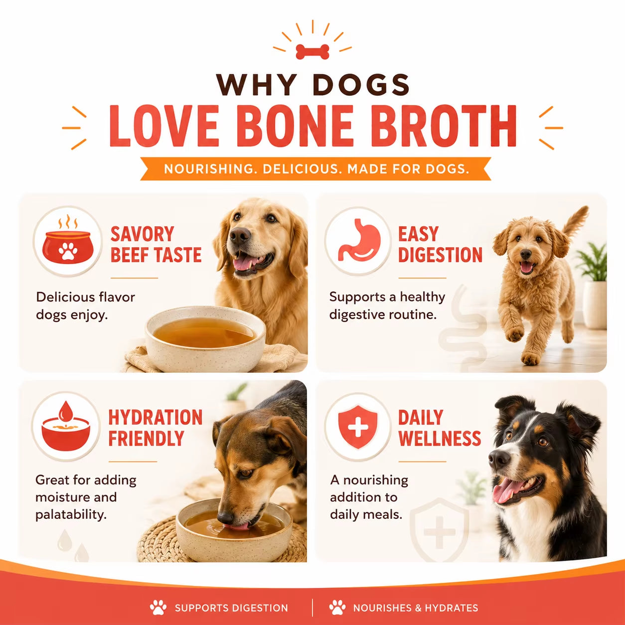 Private Label Dog Bone Broth Powder Grass Fed Beef Flavor Digestive Enzymes Pumpkin Ginger Stool Quality Custom OEM
