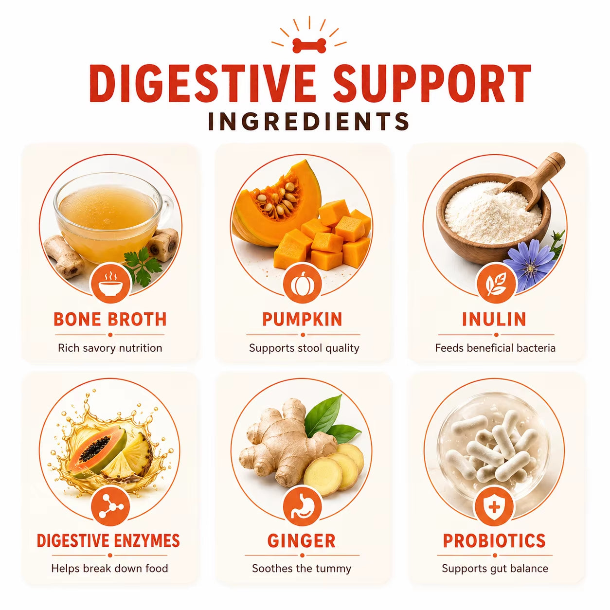 Private Label Dog Bone Broth Powder Grass Fed Beef Flavor Digestive Enzymes Pumpkin Ginger Stool Quality Custom OEM