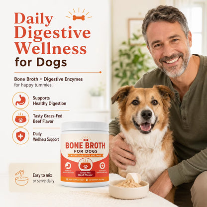 Private Label Dog Bone Broth Powder Grass Fed Beef Flavor Digestive Enzymes Pumpkin Ginger Stool Quality Custom OEM