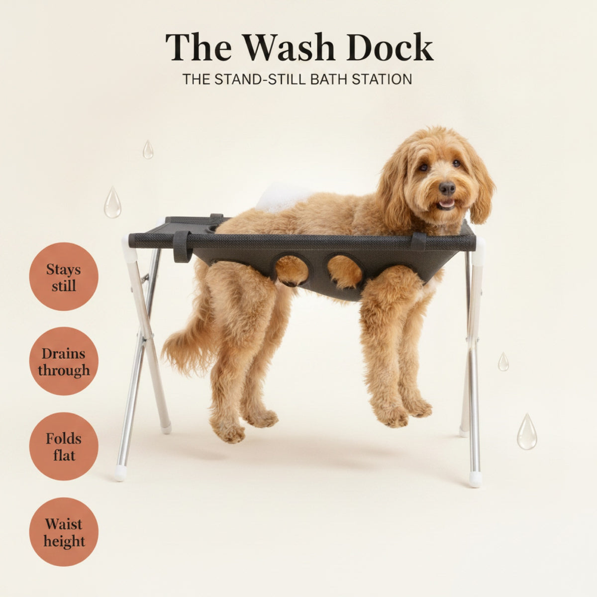 The Wash Dock — dog suspended in the stand with benefit badges